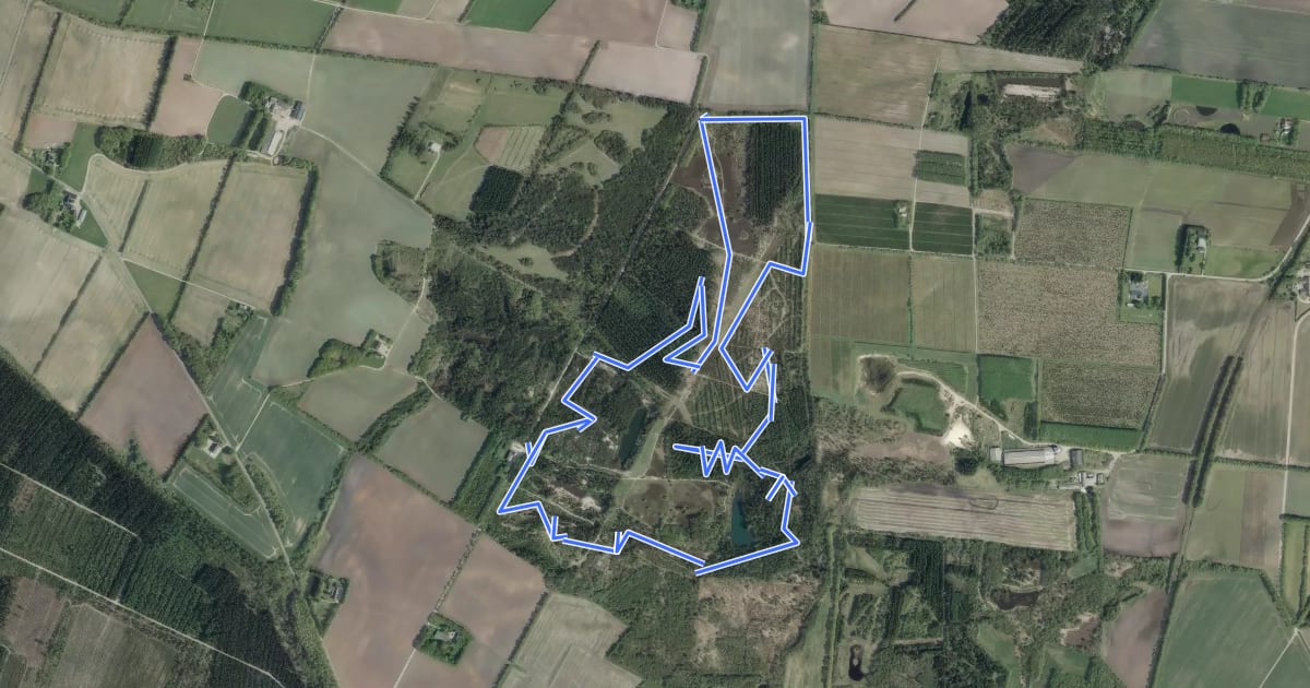Маршрут Momhøje Blå MTB rute на спутниковом снимке