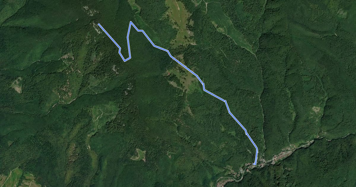 Маршрут Moneasa - Culmea Feredeu - Platoul Izoi - Vf. Izoiu (1098m) на спутниковом снимке