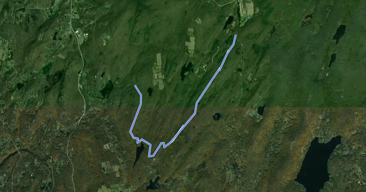 Маршрут Moneyhole Mountain Trail на спутниковом снимке