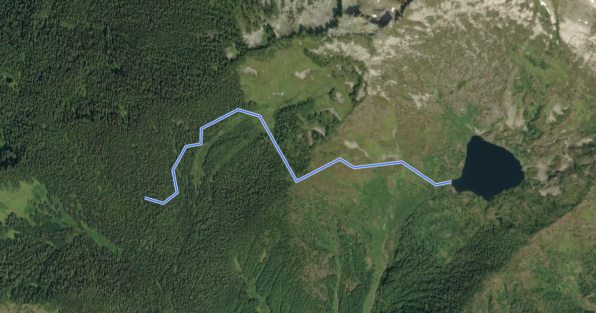 Маршрут Monogram Lake Trail на спутниковом снимке