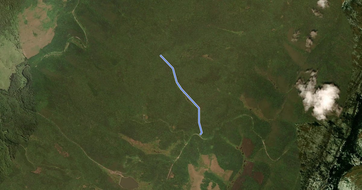 Маршрут Monongahela Forest - Spruce Knob на спутниковом снимке