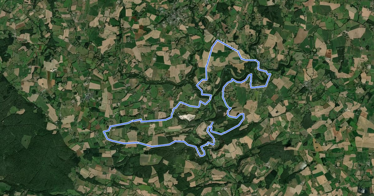 Маршрут Montaigu - Circuit n°4 - Base VTT FFC du Gasseau на спутниковом снимке