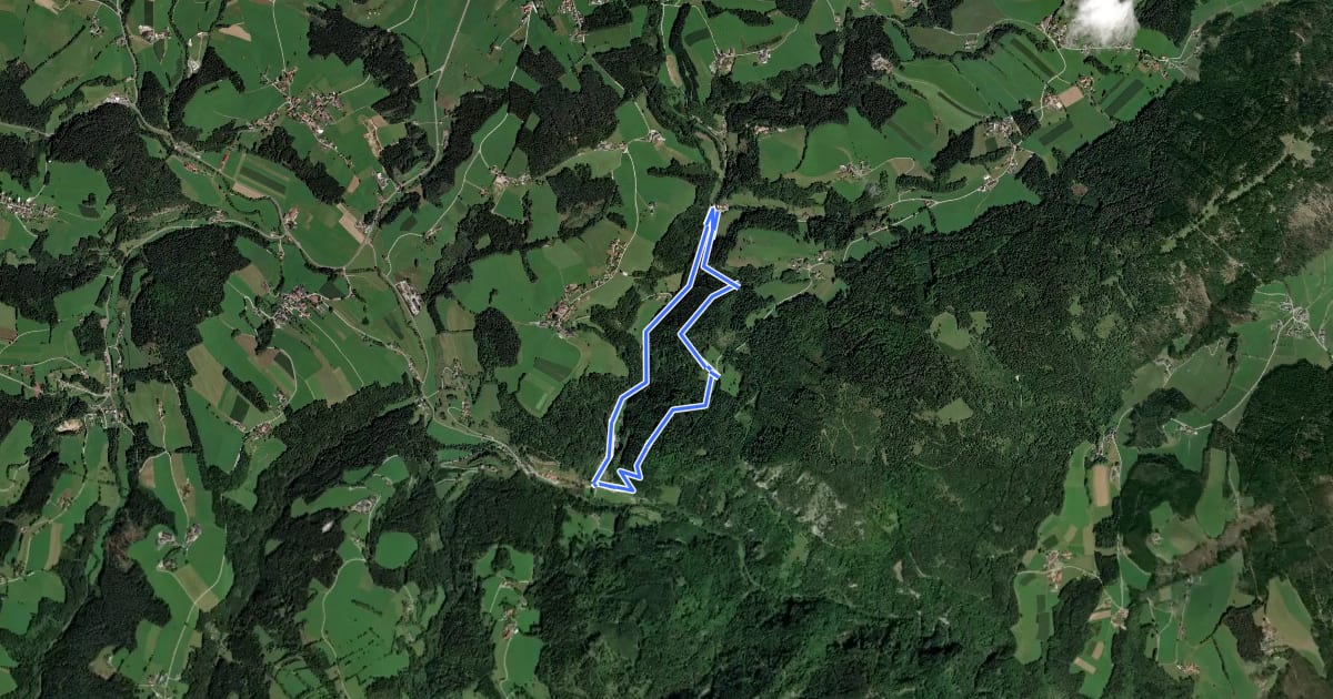Маршрут Montanlehrpfad на спутниковом снимке