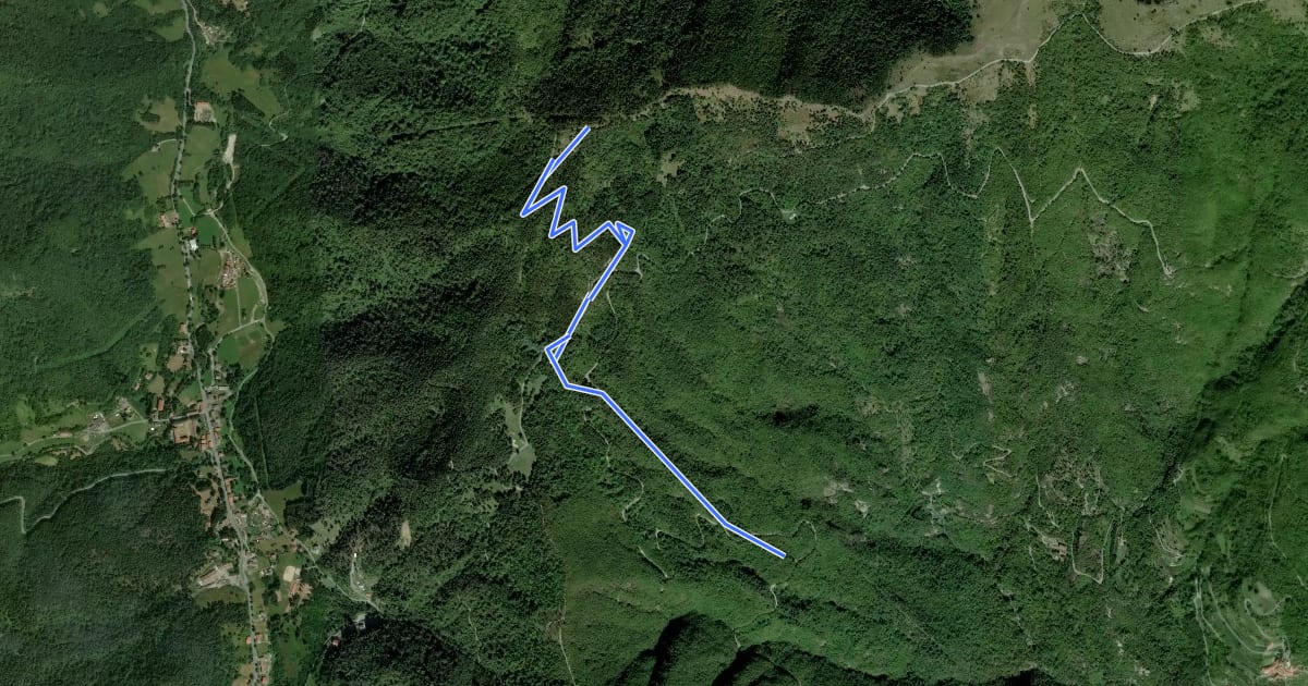 Маршрут Monte Ariolo на спутниковом снимке
