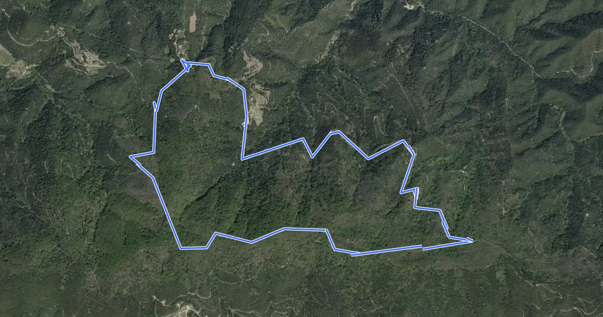 Маршрут Montnegre carener на спутниковом снимке