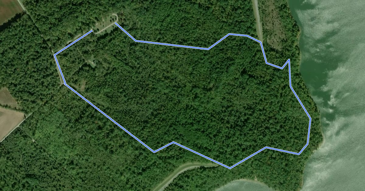 Маршрут Moonlit Vista Equestrian Trail на спутниковом снимке