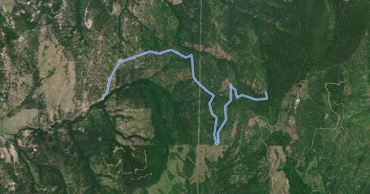Маршрут Moonshine Trail на спутниковом снимке