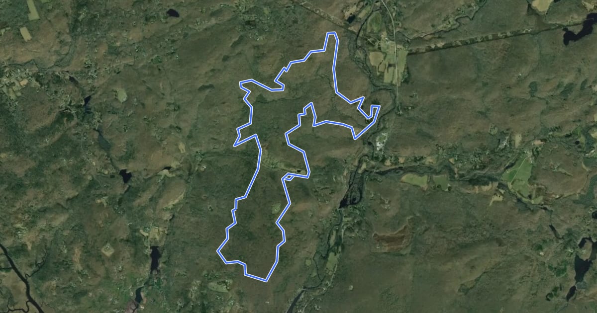 Маршрут Moore Trail на спутниковом снимке