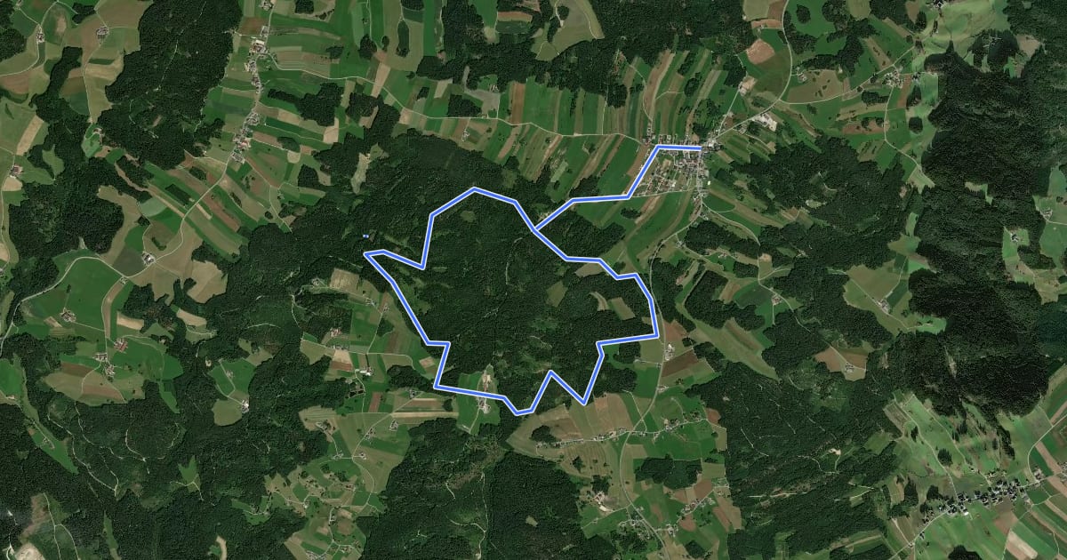 Маршрут Moorwanderweg на спутниковом снимке