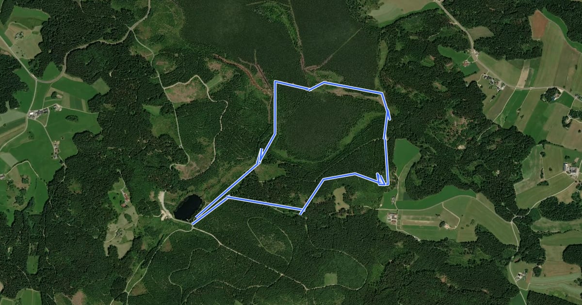 Маршрут Moorwanderweg Tanner Moor на спутниковом снимке