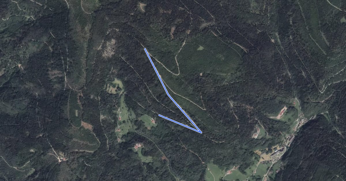 Маршрут Moosbacheckweg - Moosbachwand на спутниковом снимке