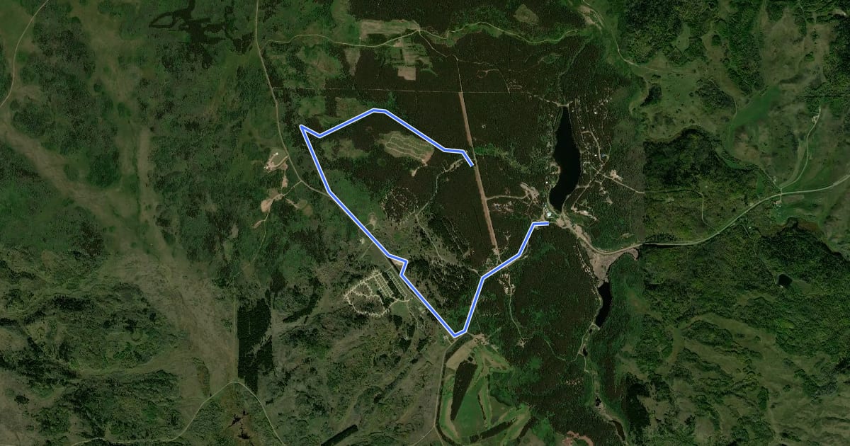 Маршрут Moose Trail на спутниковом снимке