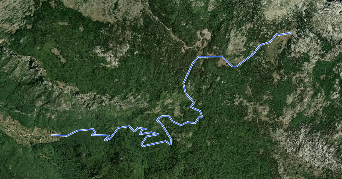 Маршрут Morakovo – Katun Maganik (suggested trail, no trailmarks) на спутниковом снимке