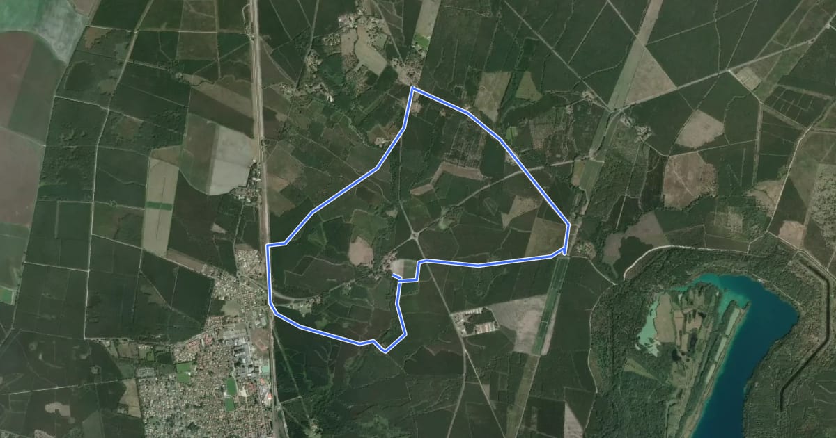 Маршрут Morcenx - Circuit aux sources du Bez (circuit long) на спутниковом снимке