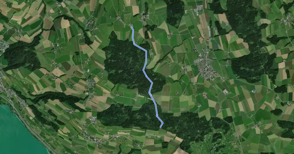 Маршрут Morentaler Wald - Blosenberg на спутниковом снимке