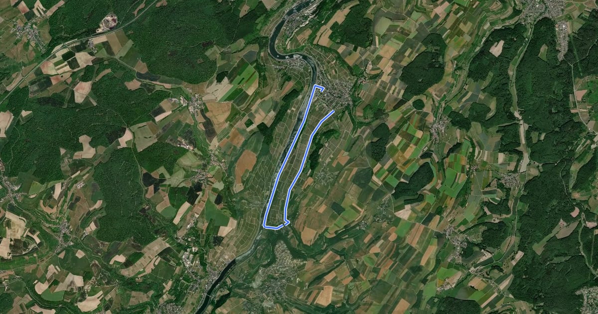 Маршрут Mosel-Elblingweg на спутниковом снимке