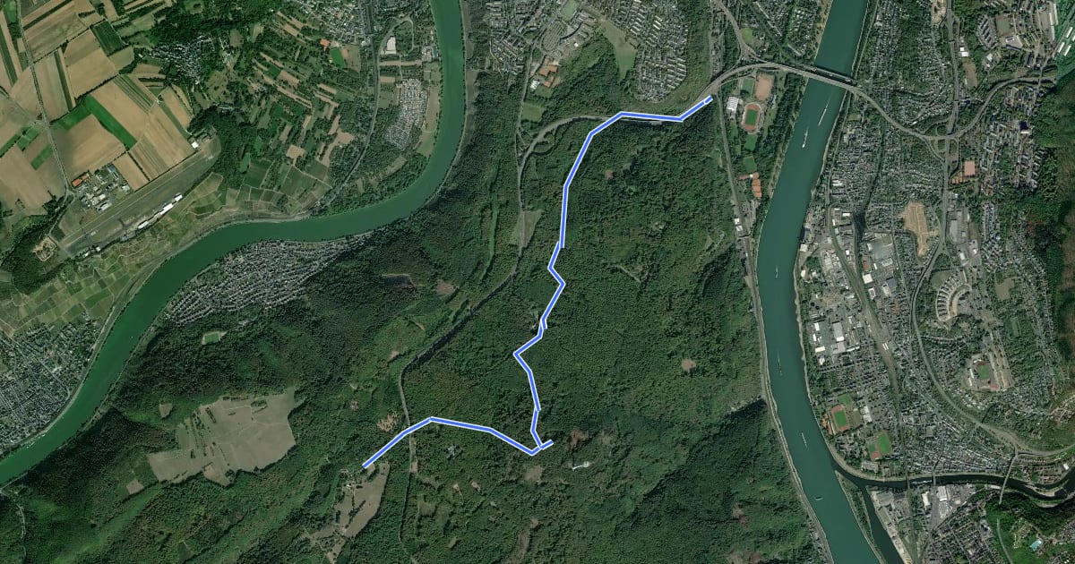 Маршрут Moselhöhenweg-Verbindungsweg Koblenz-Laubachtal - Koblenz-Remstecken на спутниковом снимке