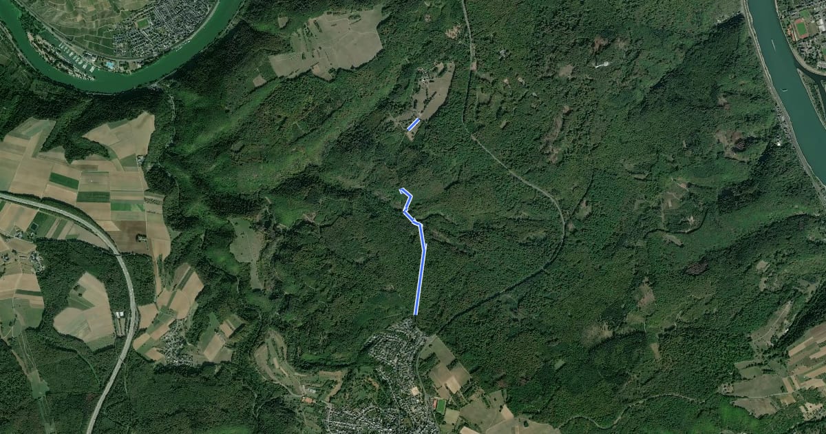 Маршрут Moselhöhenweg-Verbindungsweg Koblenz-Waldesch (Hunsrück) на спутниковом снимке