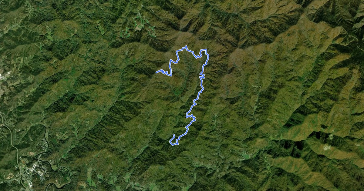 Маршрут Moses Creek Road на спутниковом снимке