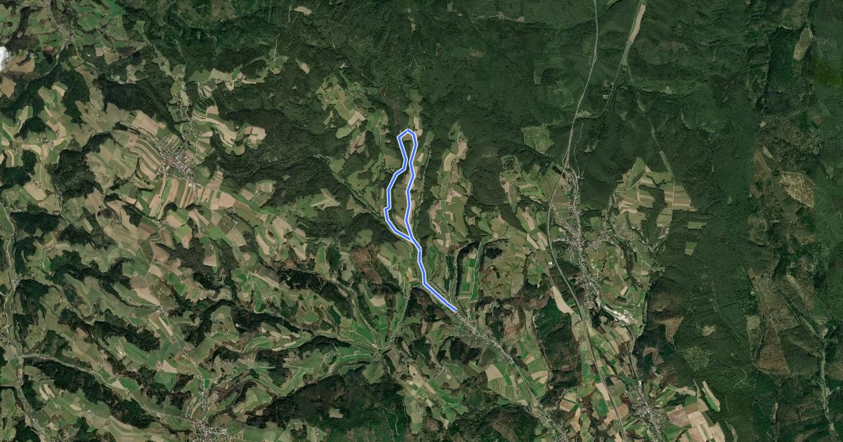 Маршрут Mostheurigenrunde 1 (Schwarzenbach) на спутниковом снимке