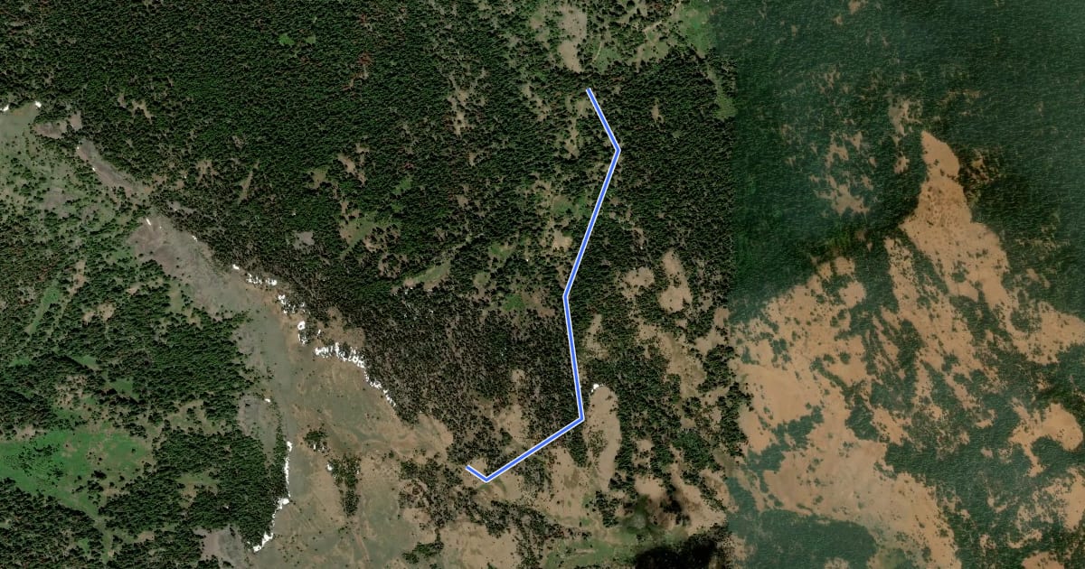 Маршрут Mother Lode Mine Trail на спутниковом снимке
