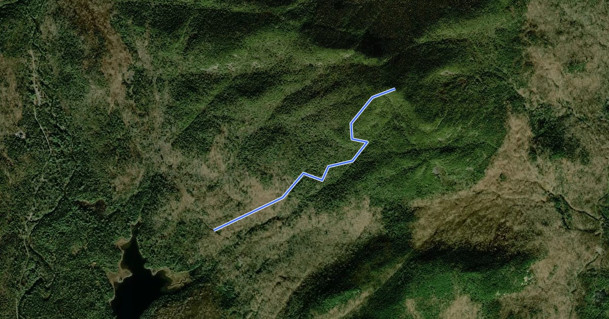 Маршрут Mount Adams Trail на спутниковом снимке