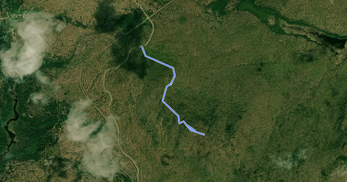 Маршрут Mount Arab Trail на спутниковом снимке