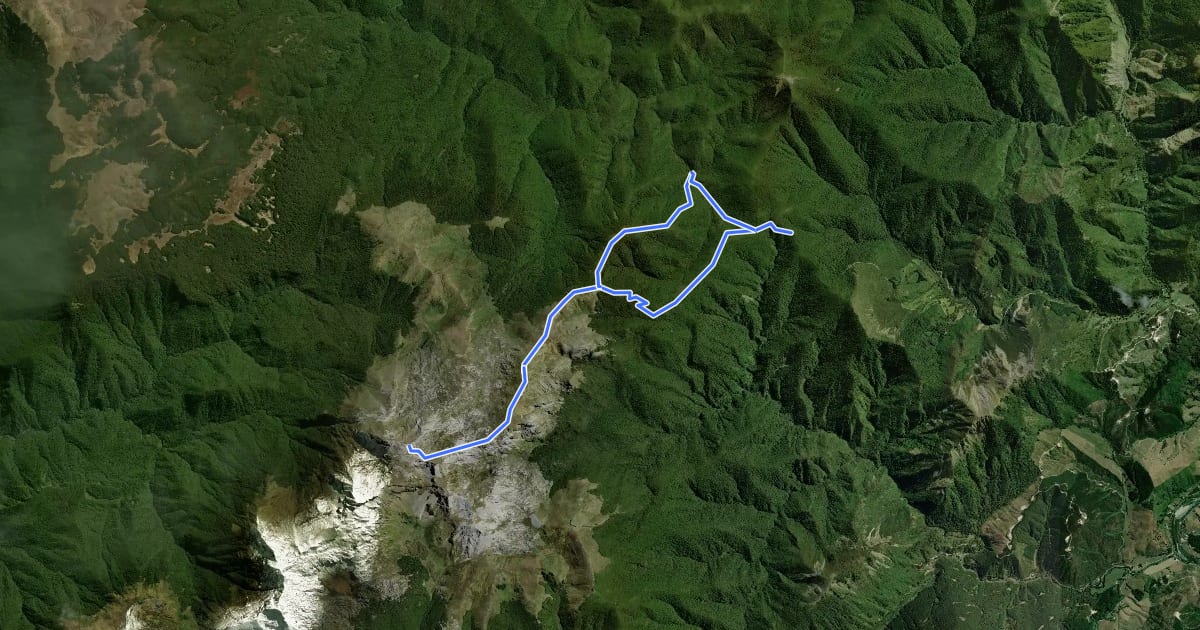 Маршрут Mount Arthur на спутниковом снимке