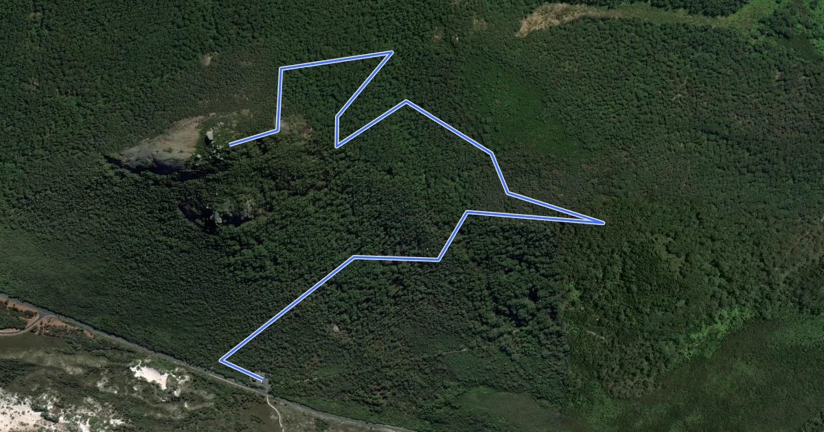 Маршрут Mount Bishop на спутниковом снимке