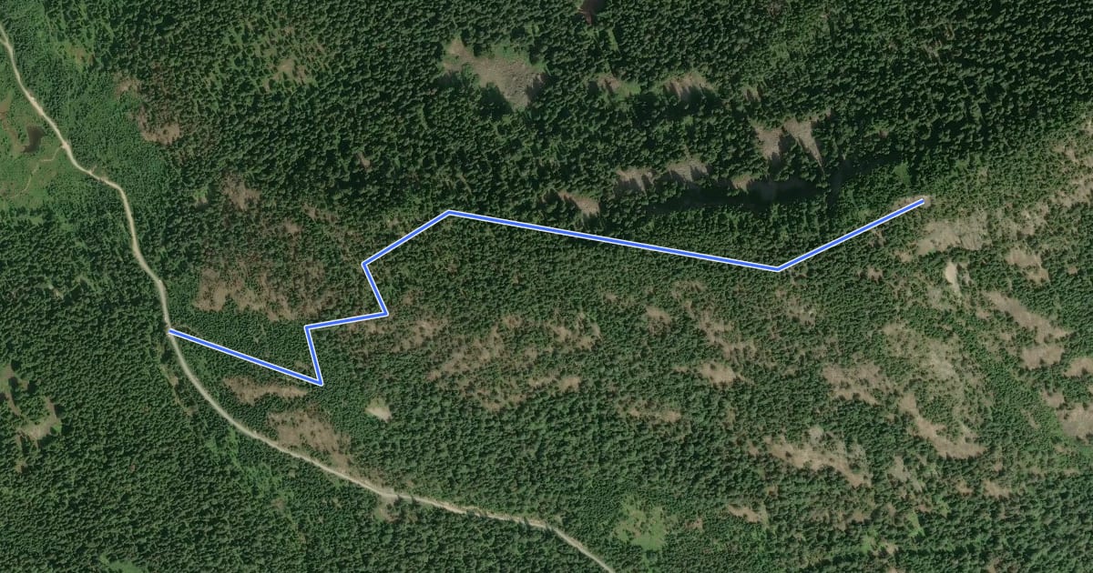 Маршрут Mount Catherine Trail на спутниковом снимке