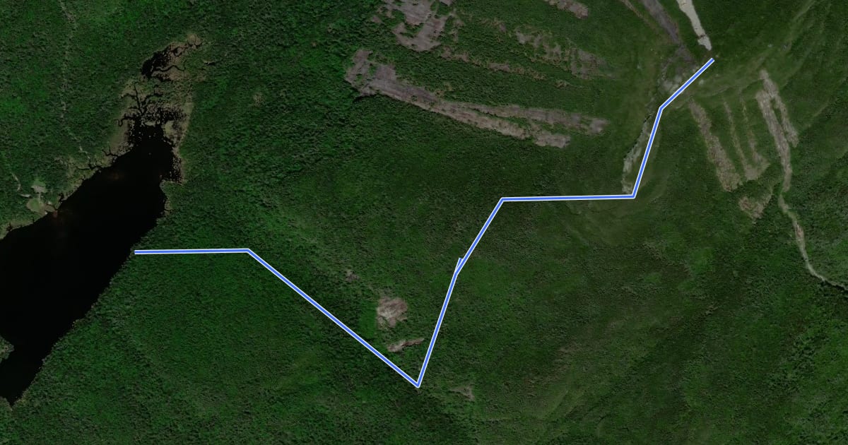 Маршрут Mount Colden Trail на спутниковом снимке