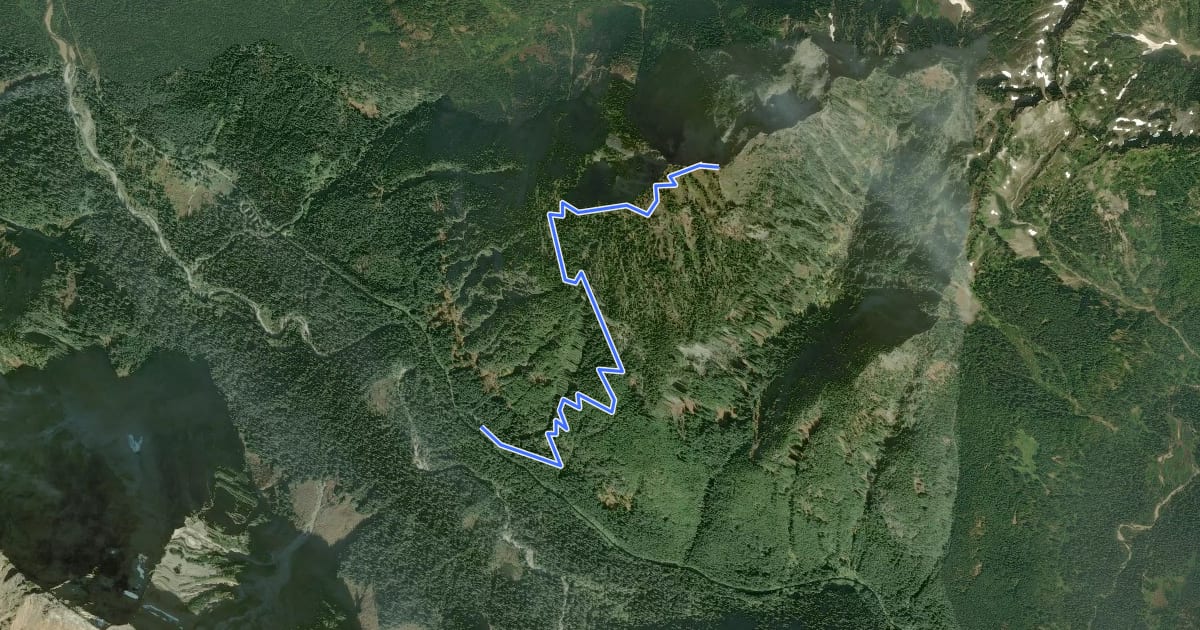 Маршрут Mount Dickerman Trail на спутниковом снимке