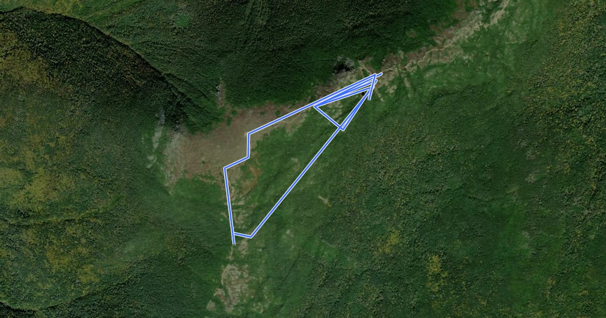 Маршрут Mount Eisenhower Loop на спутниковом снимке