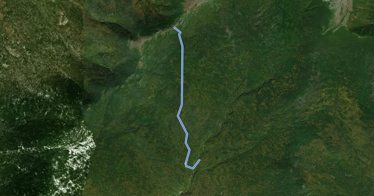 Маршрут Mount Eisenhower Trail на спутниковом снимке