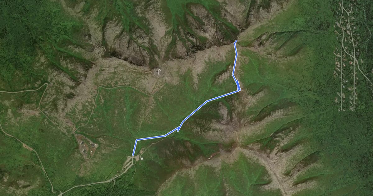 Маршрут Mount Gordon Lyon Trail на спутниковом снимке