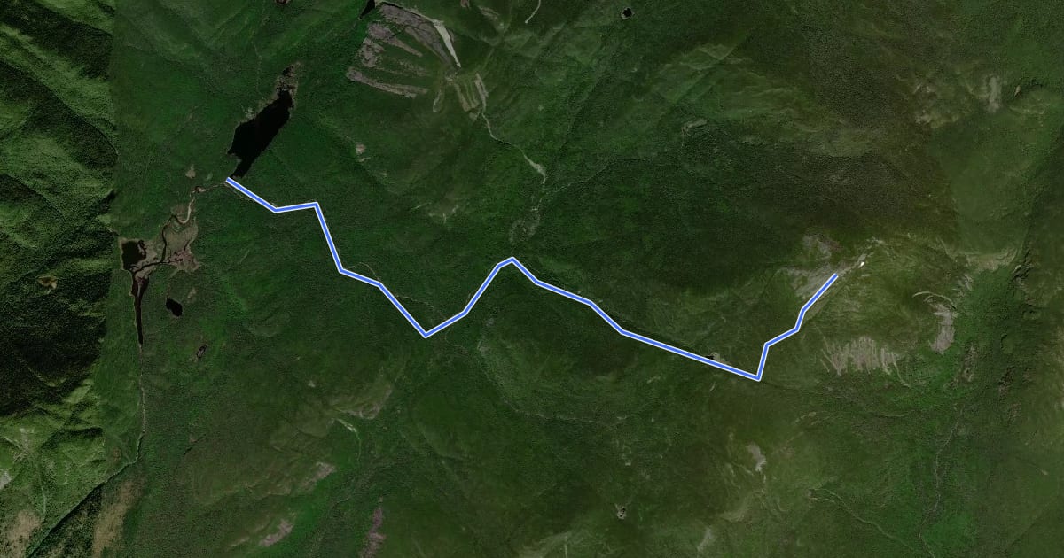 Маршрут Mount Marcy Trail на спутниковом снимке