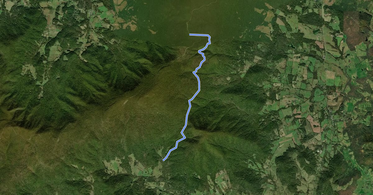 Маршрут Mount Marshall Trail на спутниковом снимке