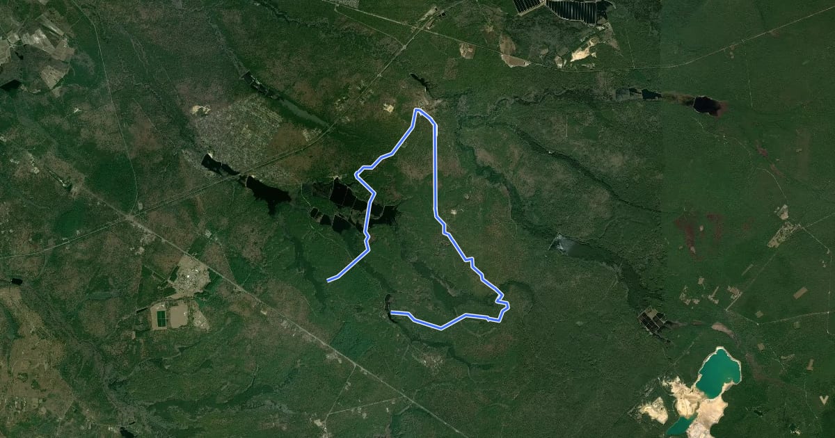 Маршрут Mount Misery Trail (white) на спутниковом снимке