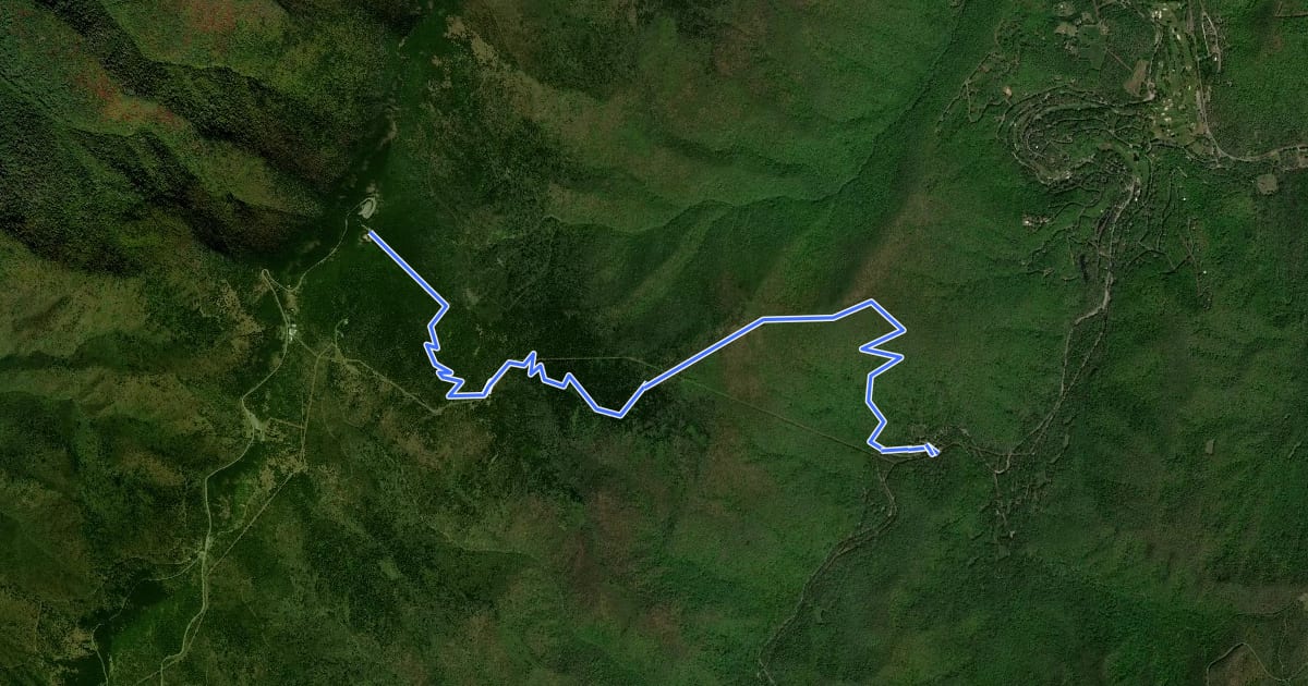Маршрут Mount Mitchell Trail на спутниковом снимке