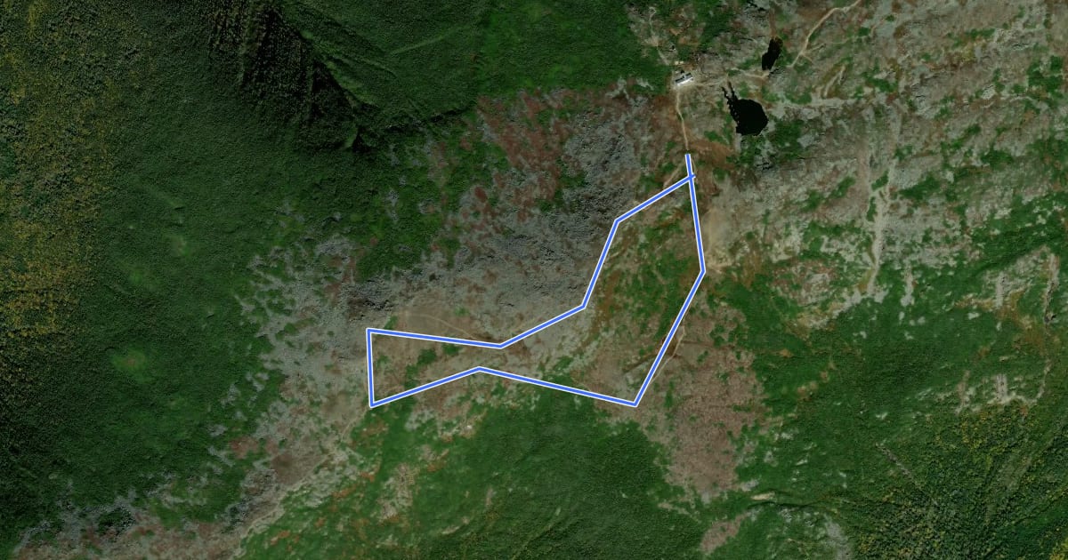 Маршрут Mount Monroe Loop на спутниковом снимке