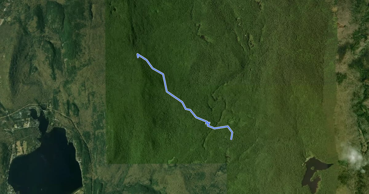Маршрут Mount Moosalamoo Trail на спутниковом снимке