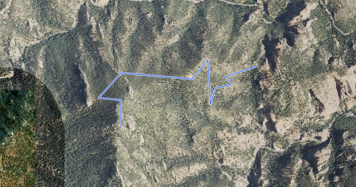 Маршрут Mount Muscoco Trail на спутниковом снимке