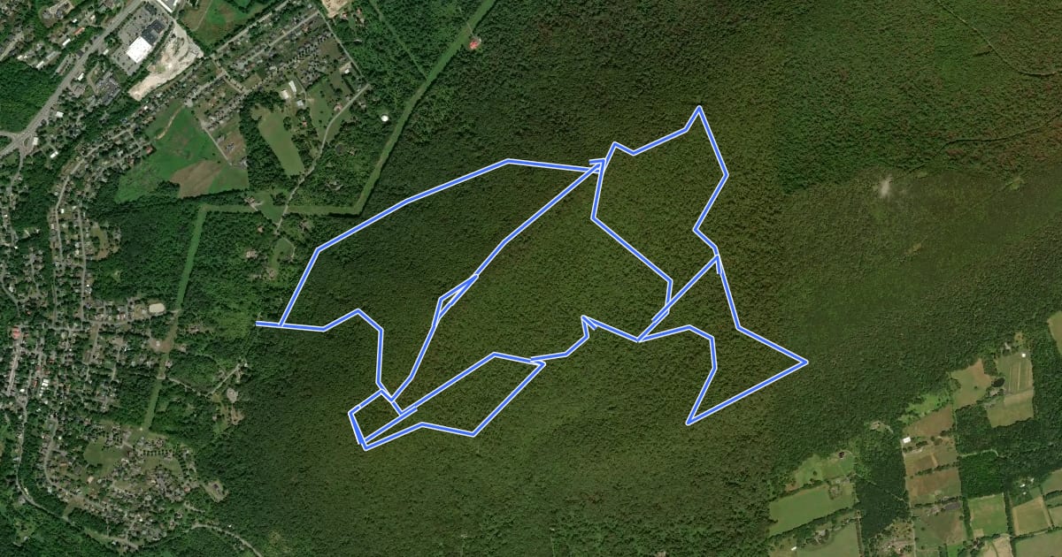 Маршрут Mount Nittany Blue and White Trails на спутниковом снимке