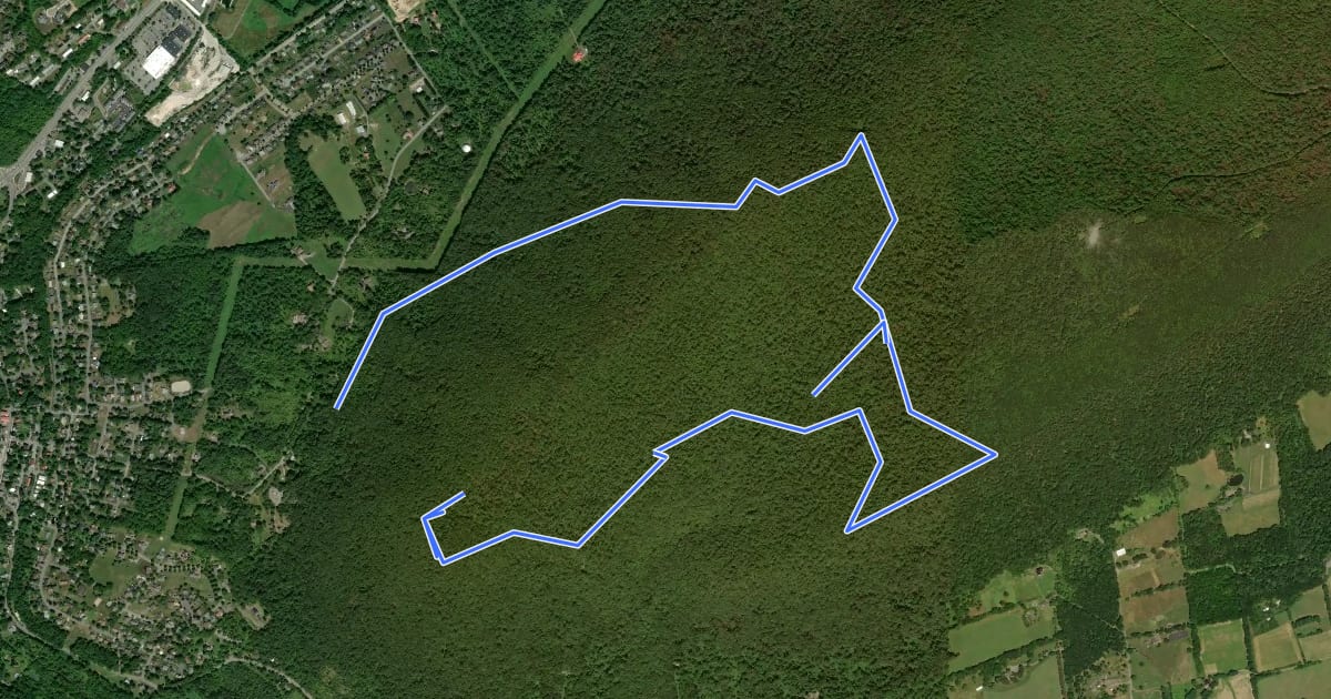 Маршрут Mount Nittany Blue Trail на спутниковом снимке