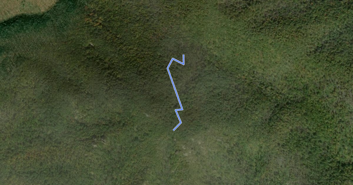 Маршрут Mount Pleasant Trail на спутниковом снимке