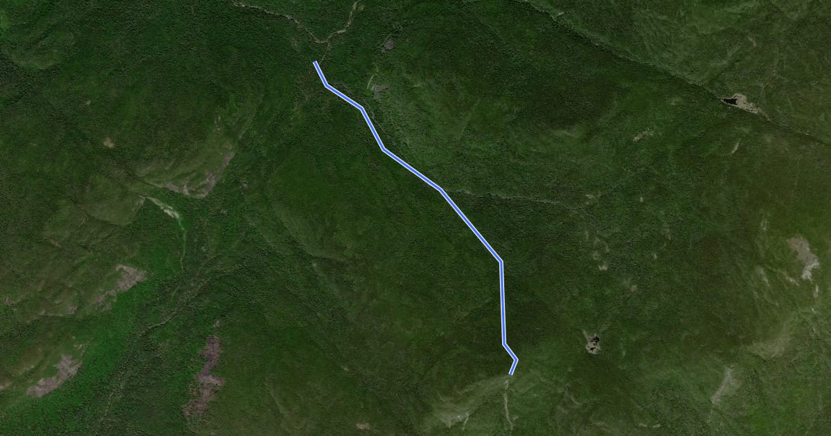 Маршрут Mount Redfield Trail на спутниковом снимке
