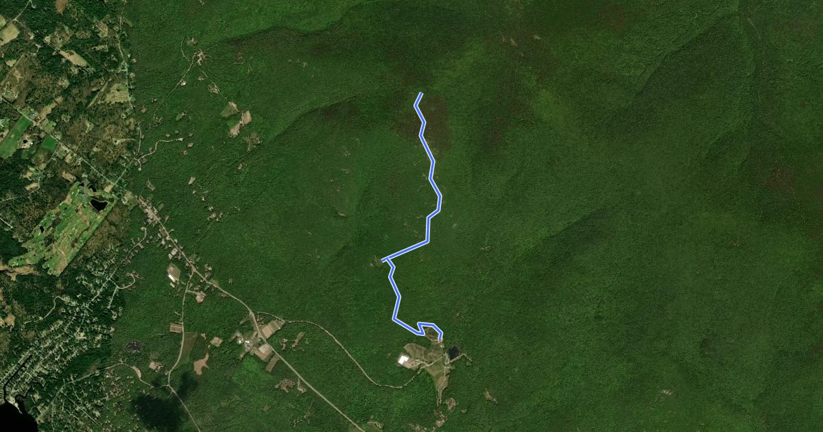 Маршрут Mount Roberts Trail на спутниковом снимке