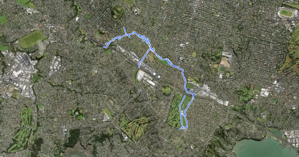 Маршрут Mount Roskill Safe Routes на спутниковом снимке