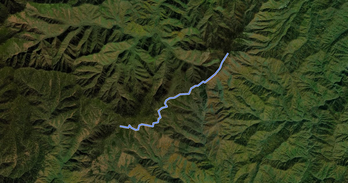 Маршрут Mount Sterling Ridge Trail на спутниковом снимке