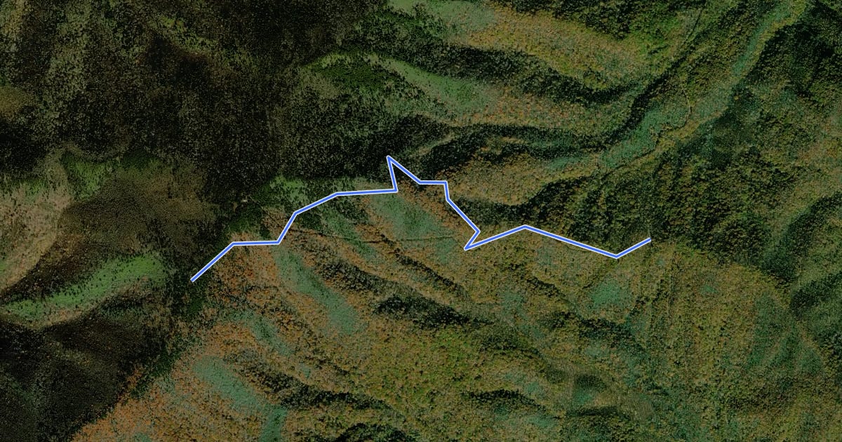 Маршрут Mount Sterling Trail на спутниковом снимке
